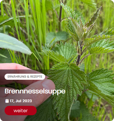 Brennnesselsuppe - Rezept