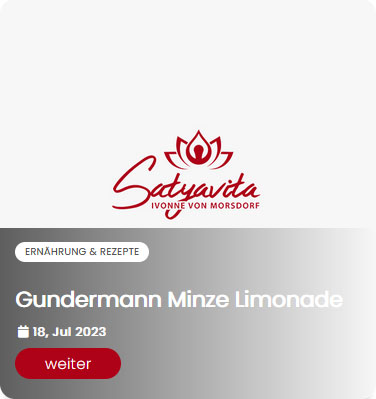 Gundermann Minze Limonade - Rezept